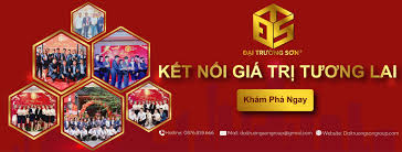 lĩnh vực hoạt động